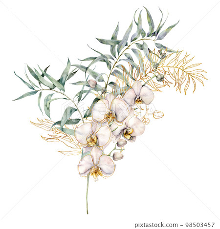 Watercolor line art bouquet with golden eucalyptus and orchids. Hand painted tropical card with flowers and leaves isolated on white background. Floral illustration for design, print, background. Watercolor line art bouquet with golden eucalyptus and orchids. Hand painted tropical card with flowers and leaves isolated on white background. Floral illustration for design, print, background. 98503457