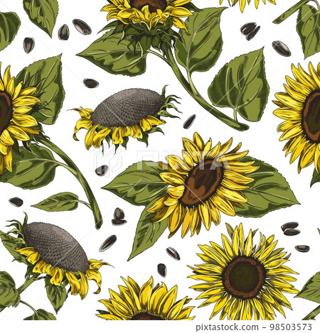 Seamless pattern with hand drawn sunflowers... - Stock Illustration ...