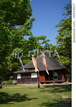 Baba Hanakien, Babahanakien, Babamokuen, carp streamer, carp streamer, May, seasonal festival, Children's Day, Children's Day, Baba Hanakien, Babahanakien, Babamokuen, carp streamer, carp streamer, May, seasonal festival, Children's Day, Children's Day, 98503657