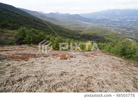 The mountain trail from the autumn rhododendron garden to Mt. Nokogiri in Asama, low vegetation in autumn colors, towards Torii Pass, October 12, 2022 The mountain trail from the autumn rhododendron garden to Mt. Nokogiri in Asama, low vegetation in autumn colors, towards Torii Pass, October 12, 2022 98503778