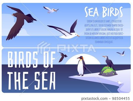 Sea birds informational web banners set, flat vector illustration. Sea birds informational web banners set, flat vector illustration. 98504455