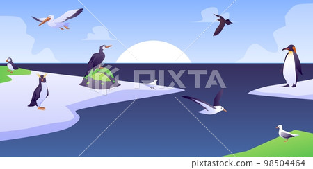 Various sea birds in Arctic on ice floe, flat vector illustration. 98504464