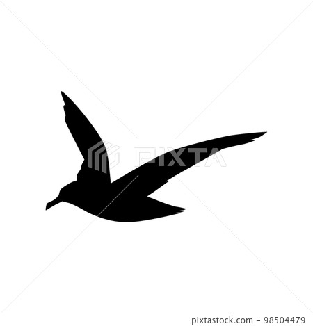 Albatross black silhouette, seabird icon - flat vector illustration isolated on white background. 98504479