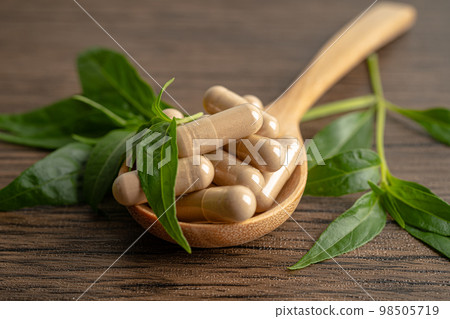 Andrographis paniculata or Kariyat leaf plant with herb capsules to treating covid19 coronavirus viral infection. 98505719