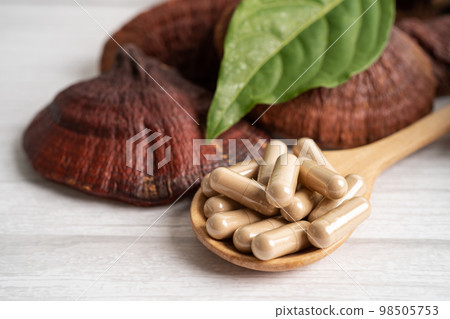 Dried lingzhi mushroom with capsule drug, alternative medicine herbal organic herb. 98505753