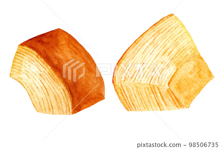 hand drawn watercolor baumkuchen cross section illustration hand drawn watercolor baumkuchen cross section illustration 98506735