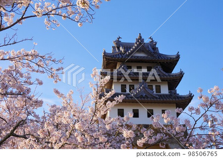 Sumoto City, Hyogo Prefecture Sumoto Castle during cherry blossom season 98506765
