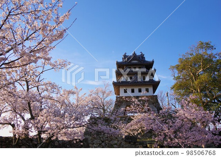 櫻花季節的兵庫縣洲本市洲本城 櫻花季節的兵庫縣洲本市洲本城 98506768