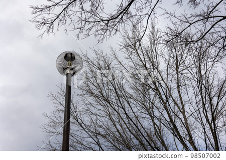 冬季公園的死樹和路燈柱 98507002