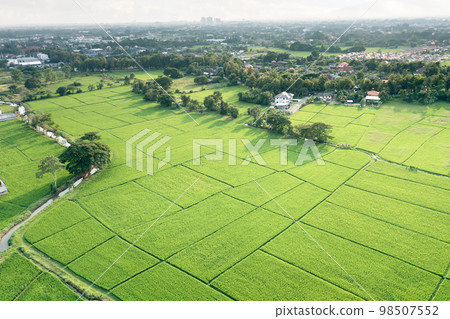 Land or landscape of green field in aerial view.  98507552
