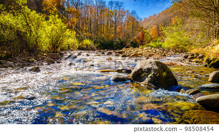 Bubbling Spring Branch 98508454