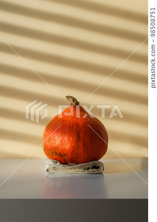 a whole pumpkin on a beige background with shadows 98508751