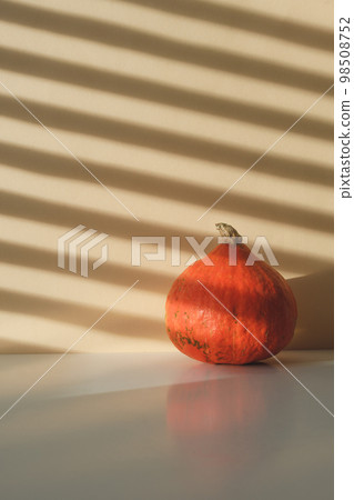 a whole pumpkin on a beige background with shadows 98508752