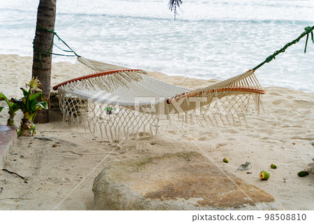 Garden and park by the sea. 98508810