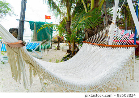 Garden and park by the sea. 98508824