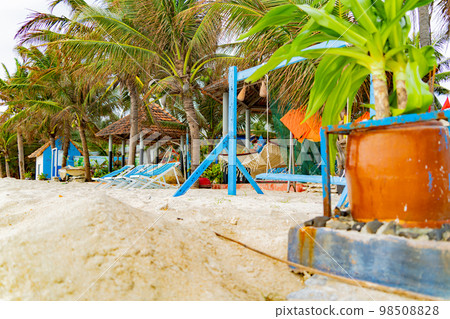 Garden and park by the sea. 98508828