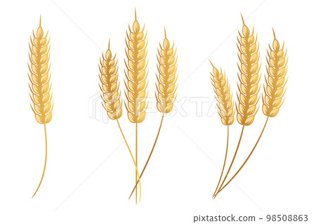 Set of ears of wheat. Logo, icon, decor element, vector Set of ears of wheat. Logo, icon, decor element, vector 98508863