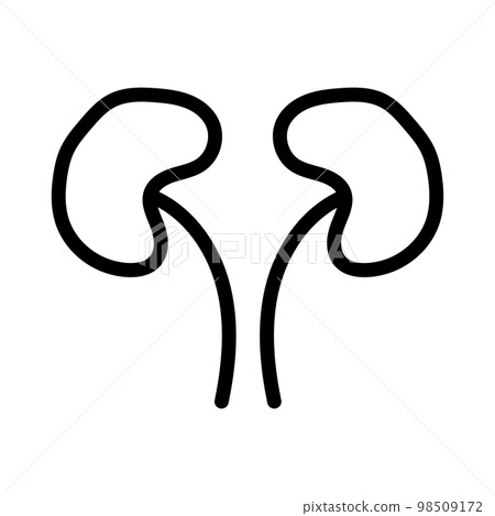 Human kidneys icon line isolated on white background. Black flat thin icon on modern outline style. Linear symbol and editable stroke. Simple and pixel perfect stroke vector illustration Human kidneys icon line isolated on white background. Black flat thin icon on modern outline style. Linear symbol and editable stroke. Simple and pixel perfect stroke vector illustration 98509172