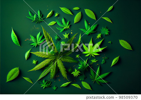 Young shoot of wild marijuana plant with first leaves on green background. 98509370