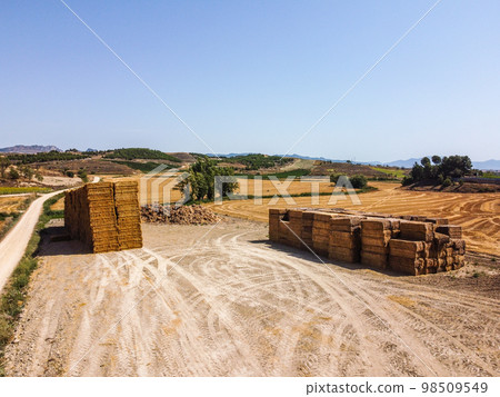 Straw bales on a field after grain harvest 98509549