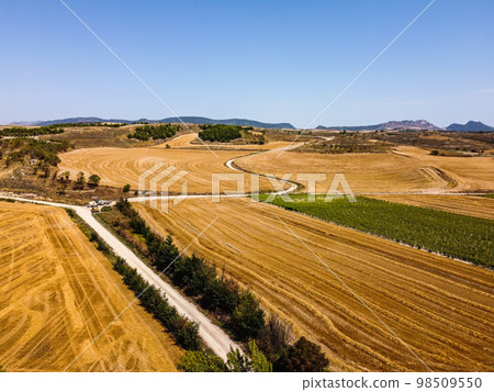 Dirt road through huge grain fields in the morning in summertime Dirt road through huge grain fields in the morning in summertime 98509550