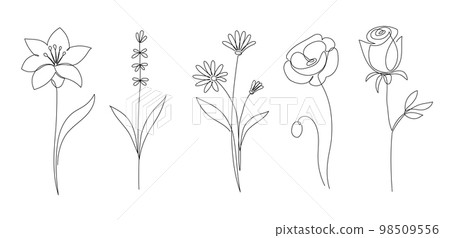 Flower set continuous outline style. Decoration flower, botanical floral element, blossom one line art for wedding, spring concept background Flower set continuous outline style. Decoration flower, botanical floral element, blossom one line art for wedding, spring concept background 98509556