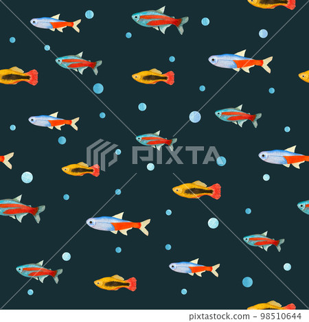 Watercolor underwater seamless pattern of neon tetra fishes on white background. Print for design, cards, background, menus, souvenirs, decor, banner, wallpaper, fabric, textile, wrapping Watercolor underwater seamless pattern of neon tetra fishes on white background. Print for design, cards, background, menus, souvenirs, decor, banner, wallpaper, fabric, textile, wrapping 98510644