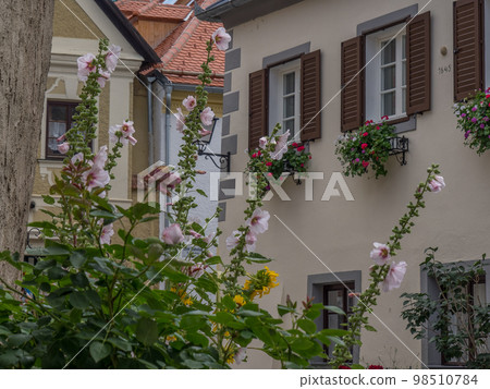 At the danube river in the austrian wachau At the danube river in the austrian wachau 98510784