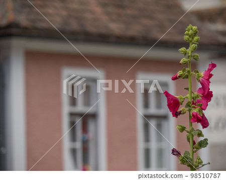 At the danube river in the austrian wachau 98510787