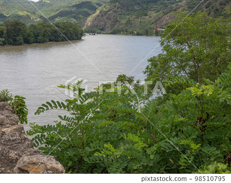 At the danube river in the austrian wachau At the danube river in the austrian wachau 98510795