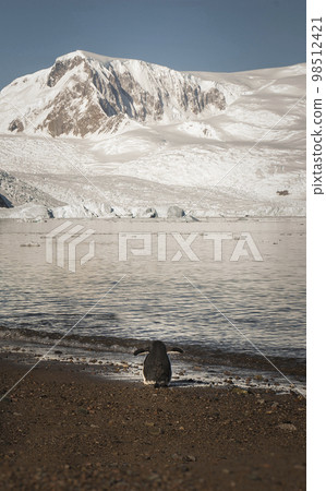 Snowy mountains in Paraiso Bay, Antartica. 98512421