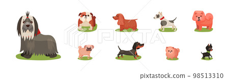 Different Dog Breed Standing on Green Grass Vector Set 98513310