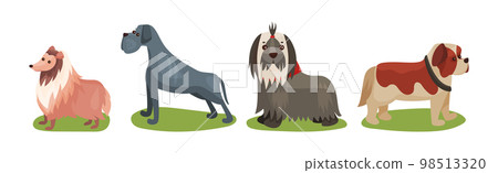 Different Dog Breed Standing on Green Grass Vector Set 98513320