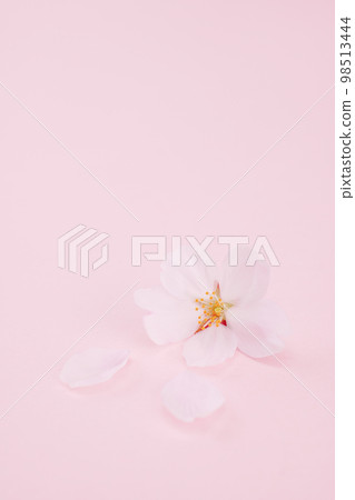 Scattered cherry blossom pink background Scattered cherry blossom pink background 98513444