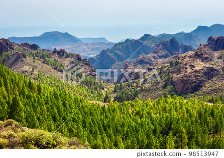 beautiful landscape of the volcanic island of gran canaria 98513947