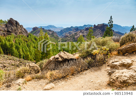 beautiful landscape of the volcanic island of gran canaria beautiful landscape of the volcanic island of gran canaria 98513948
