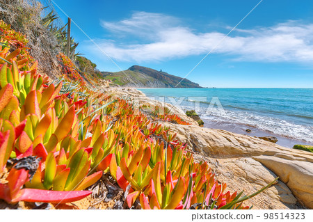 Fantastic summer morning on the Giallonardo beach. Fantastic summer morning on the Giallonardo beach. 98514323