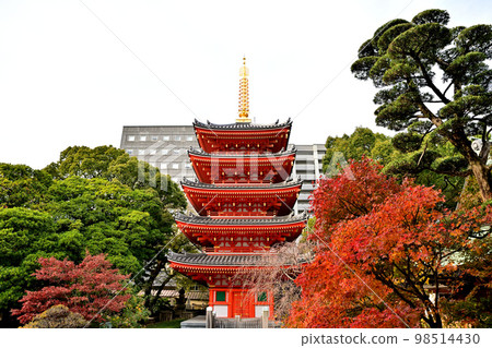 Scenery of Fukuoka City Tochoji Temple Scenery of Fukuoka City Tochoji Temple 98514430