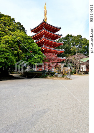 Scenery of Fukuoka City Tochoji Temple Scenery of Fukuoka City Tochoji Temple 98514451