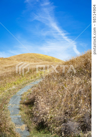 Scenery around Aso Yonezukashita Park 98514904
