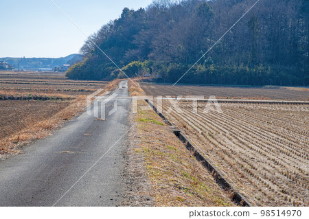 Satoyama midwinter scenery near Oegawa, Kumagaya City 98514970