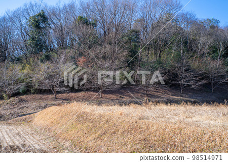 Satoyama midwinter scenery near Oegawa, Kumagaya City Satoyama midwinter scenery near Oegawa, Kumagaya City 98514971