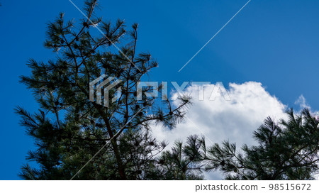 Sky and clouds Sky and clouds 98515672