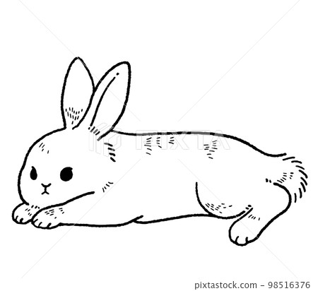 復古躺兔線描插圖素材 復古躺兔線描插圖素材 98516376