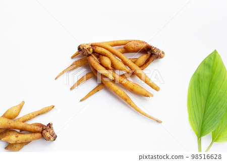 Fingerroot on a white background. Fingerroot on a white background. 98516628