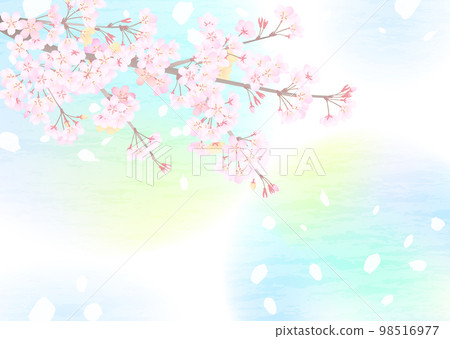 仰望柔和明亮的天空的櫻花夢幻般的背景插圖 98516977