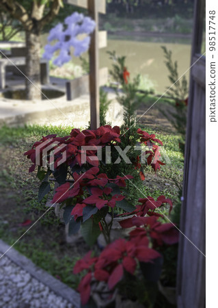 Christmas and New Year decorations in season of greeting Christmas and New Year decorations in season of greeting 98517748