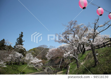 根來寺 根來寺 98518130
