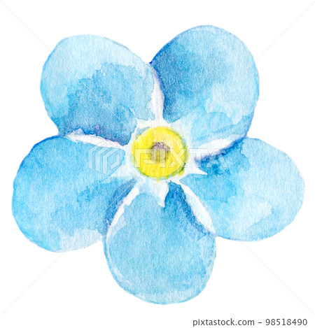 Botanical watercolor illustration Blue flower 98518490