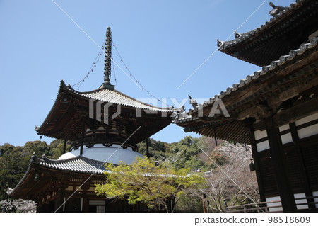 Negoriji Negoriji 98518609